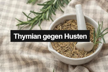 Thymian gegen Husten
