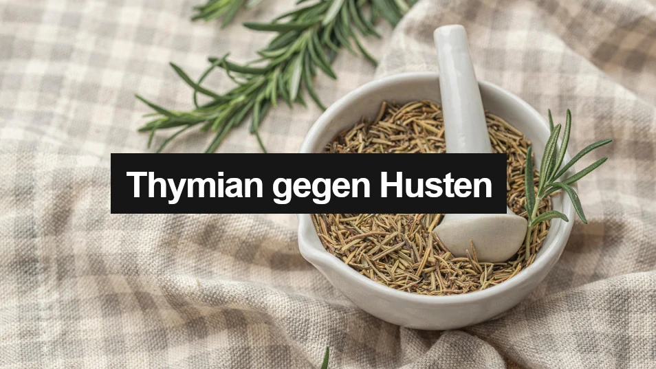 Thymian gegen Husten